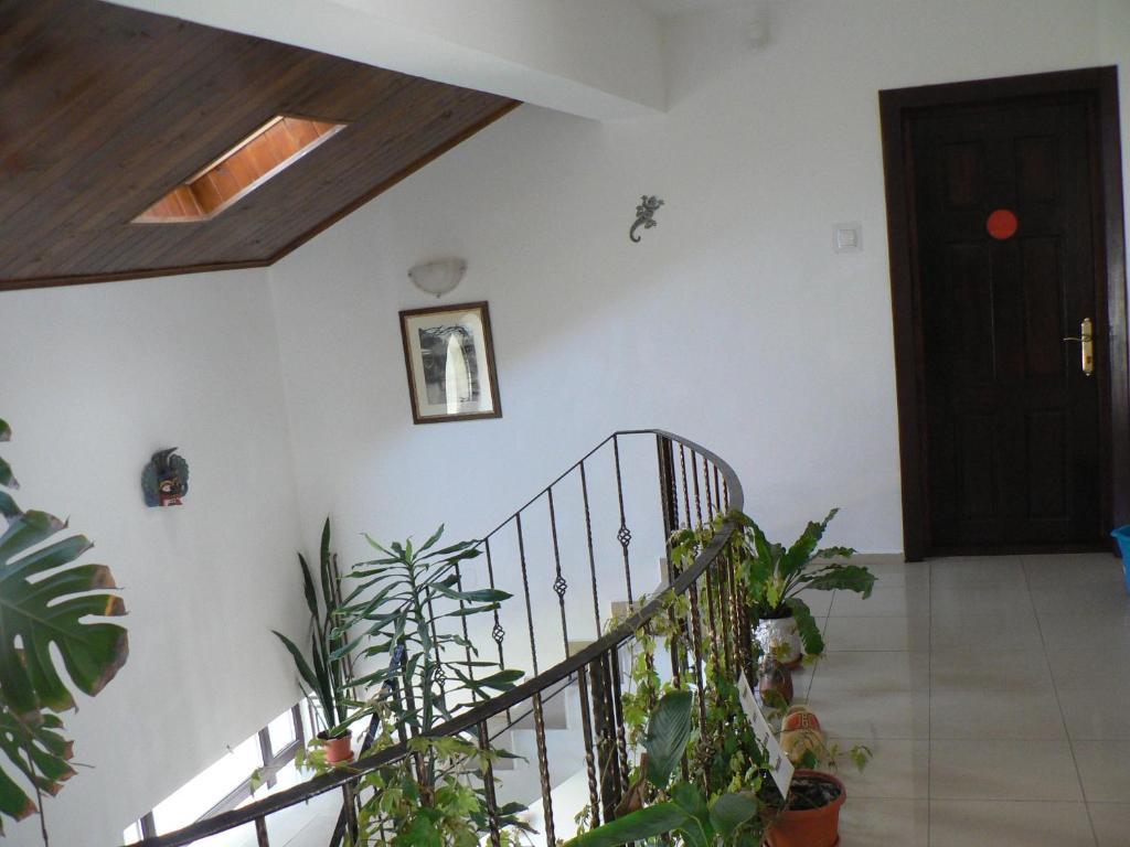 Casa Havana (Adults Only) Костинешти Экстерьер фото