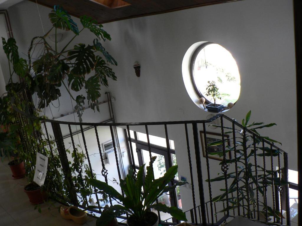 Casa Havana (Adults Only) Костинешти Экстерьер фото