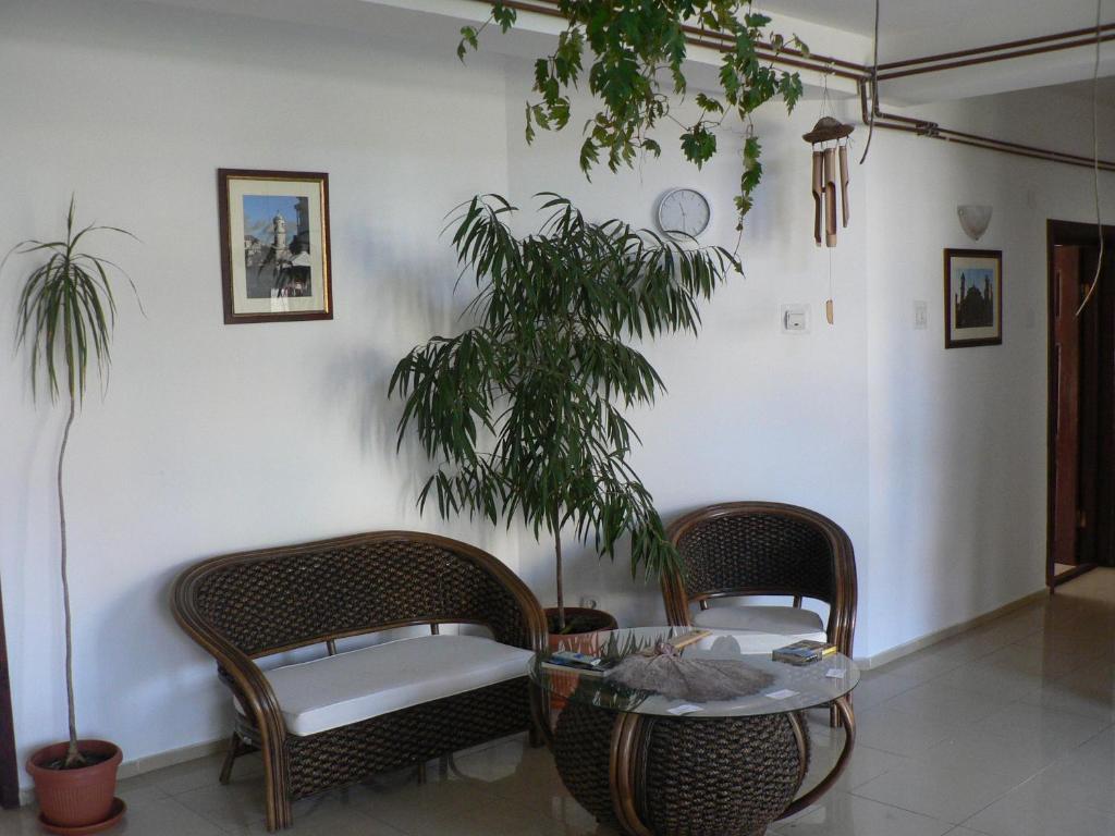 Casa Havana (Adults Only) Костинешти Экстерьер фото