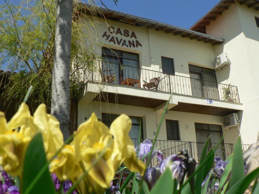Casa Havana (Adults Only) Костинешти Экстерьер фото
