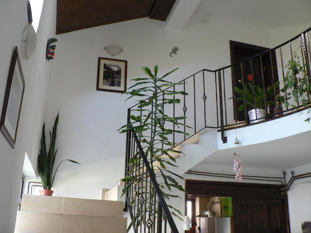 Casa Havana (Adults Only) Костинешти Экстерьер фото