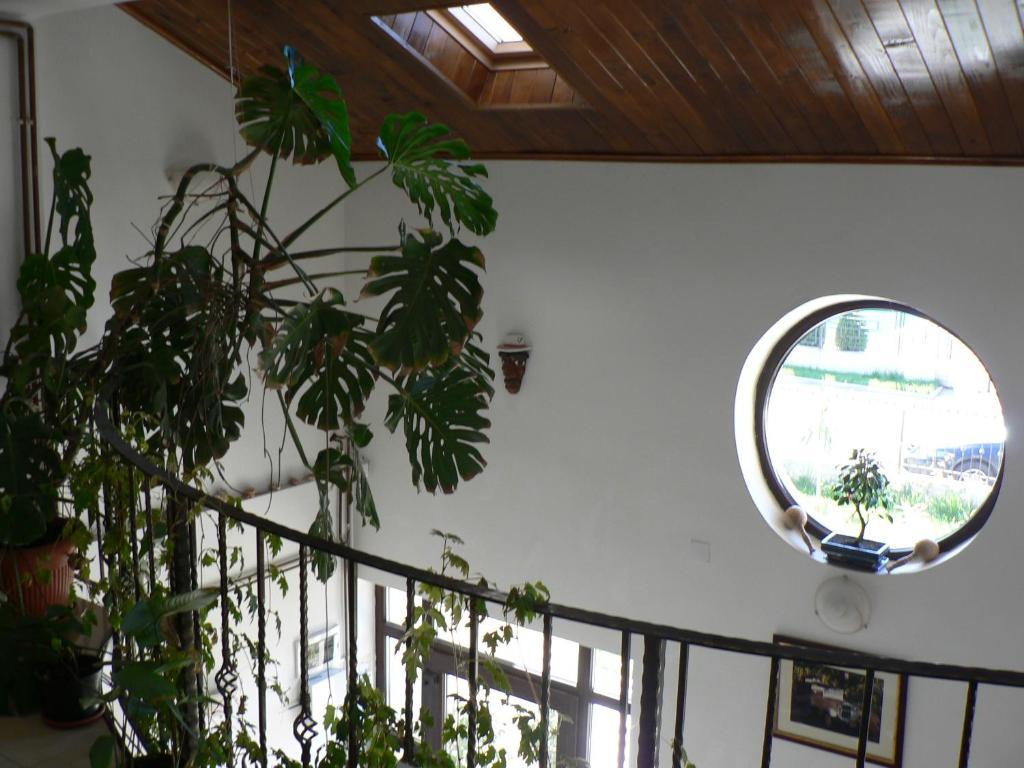 Casa Havana (Adults Only) Костинешти Экстерьер фото