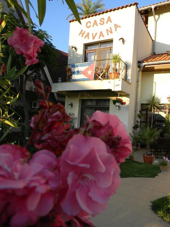 Casa Havana (Adults Only) Костинешти Экстерьер фото