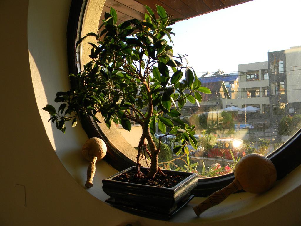 Casa Havana (Adults Only) Костинешти Экстерьер фото